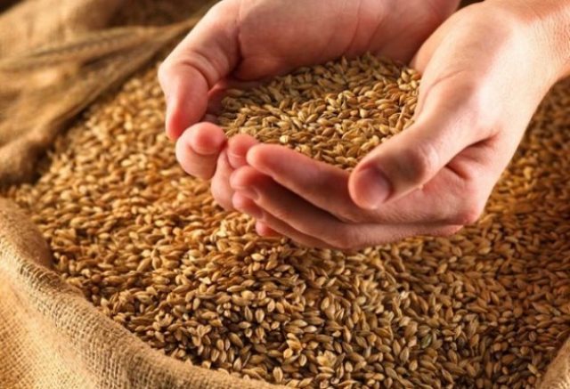 Азербайджан вошел в пятерку стран-импортеров зерновых из России